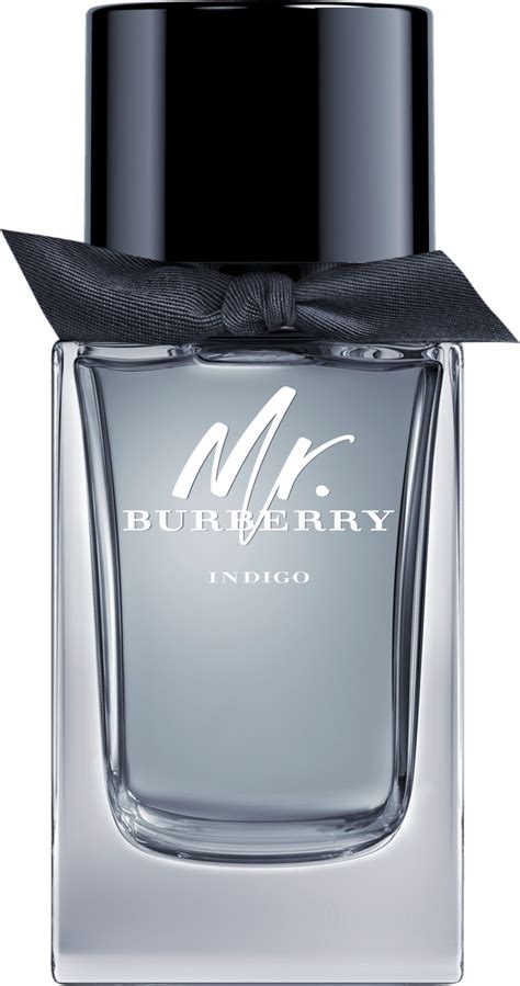 mr burberry 5.0 ounce spray|Mr. Burberry Eau de Parfum Burberry for men .